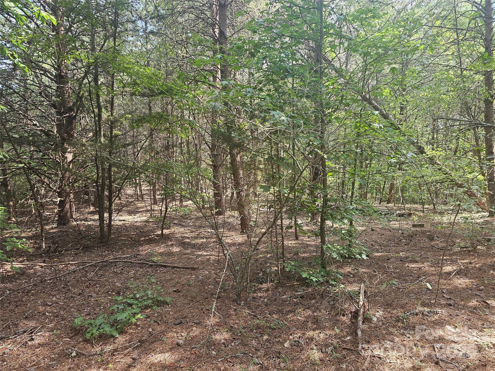 0 E Green Creek Drive