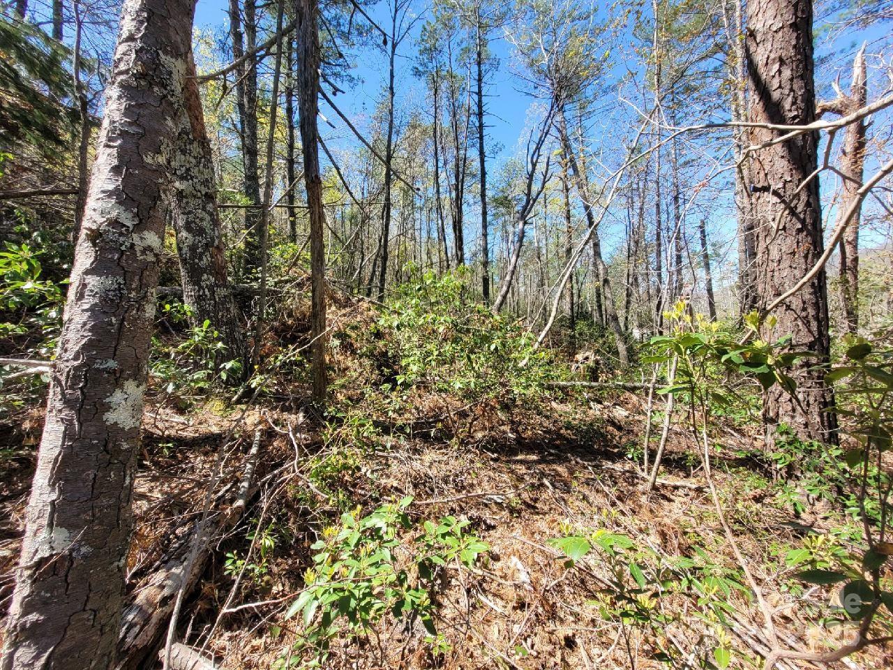 167 Fox Ridge Trail
