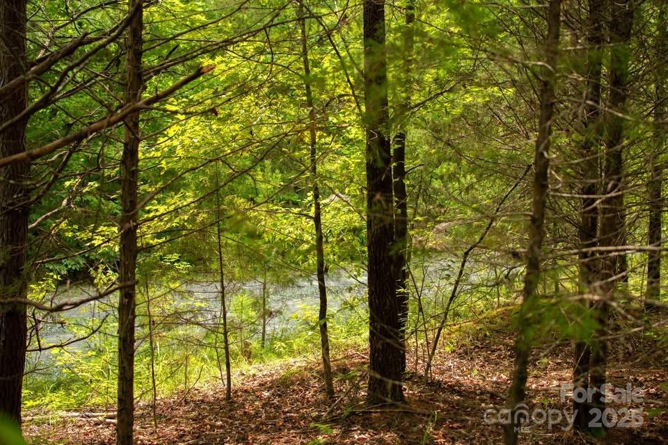 145 Stroud Mountain Trail 85