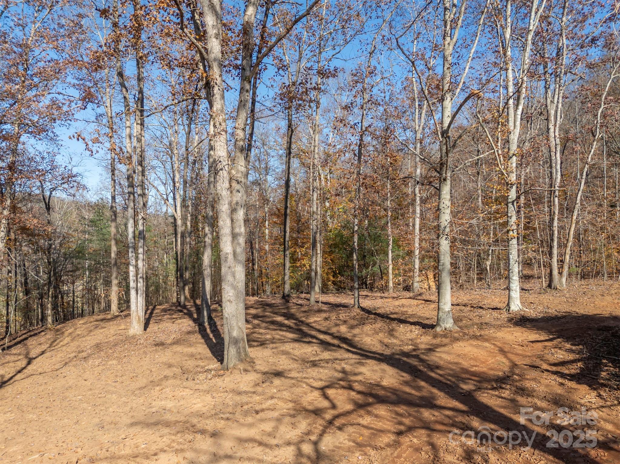 145 Stroud Mountain Trail 85