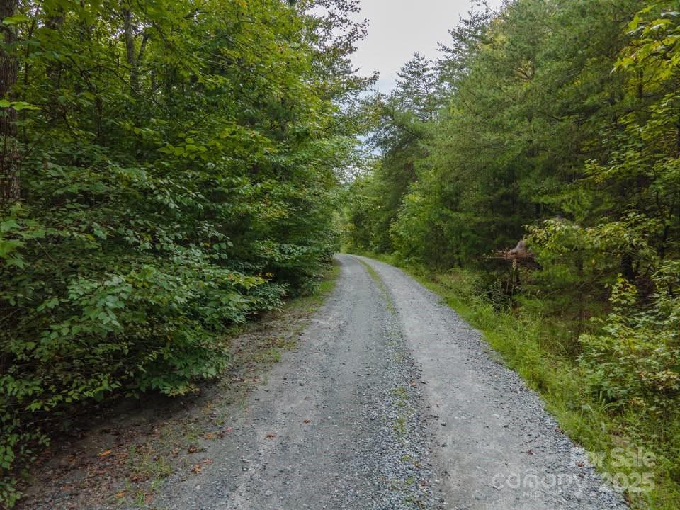 145 Stroud Mountain Trail 85