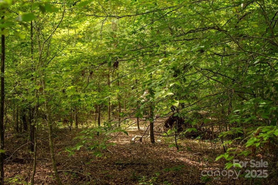 145 Stroud Mountain Trail 85