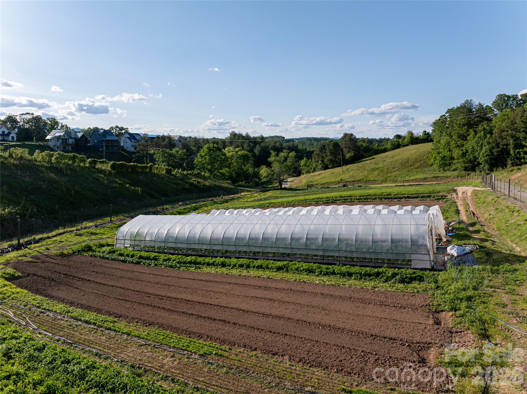 Olivette - Land