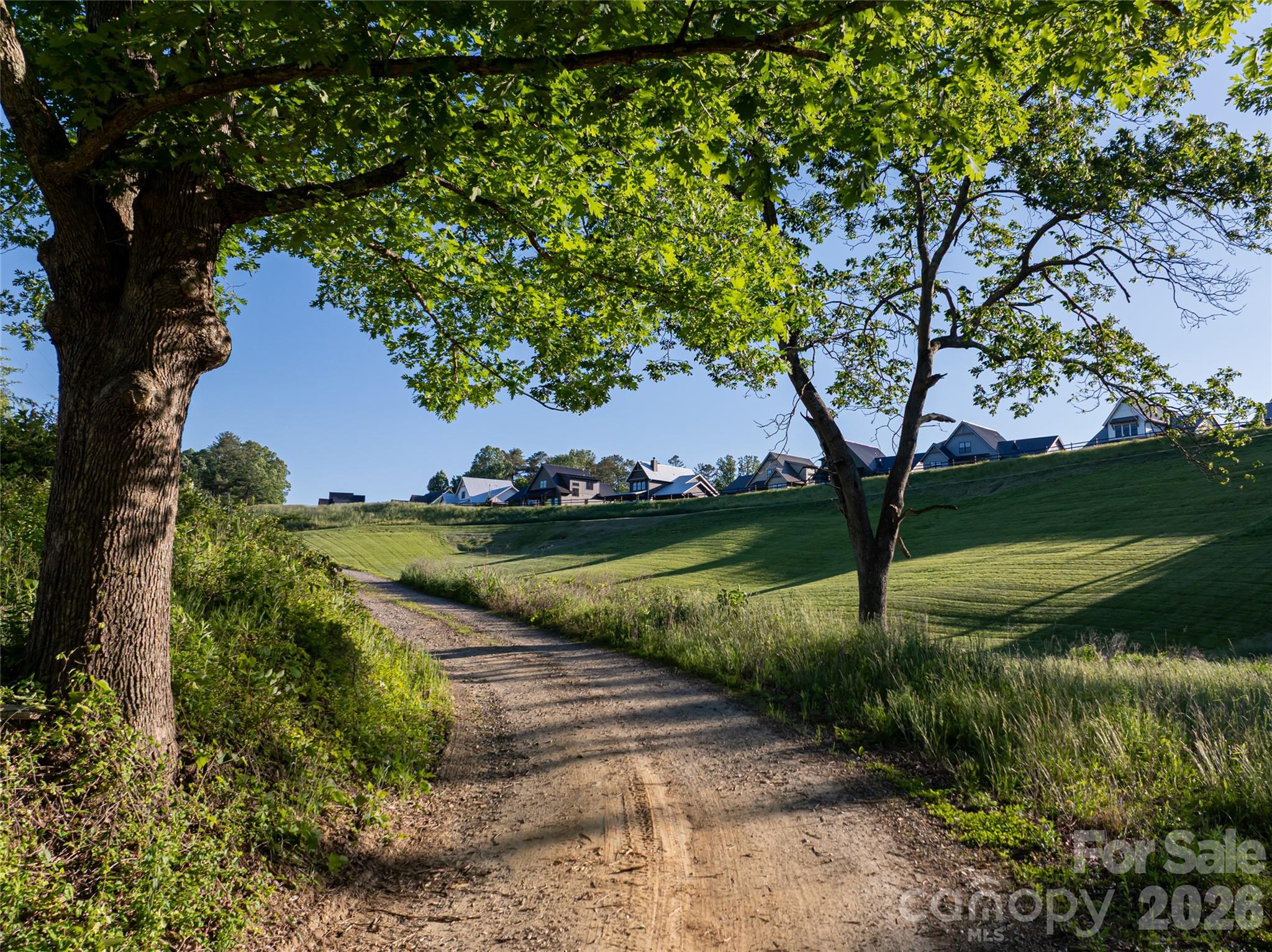 Olivette - Land