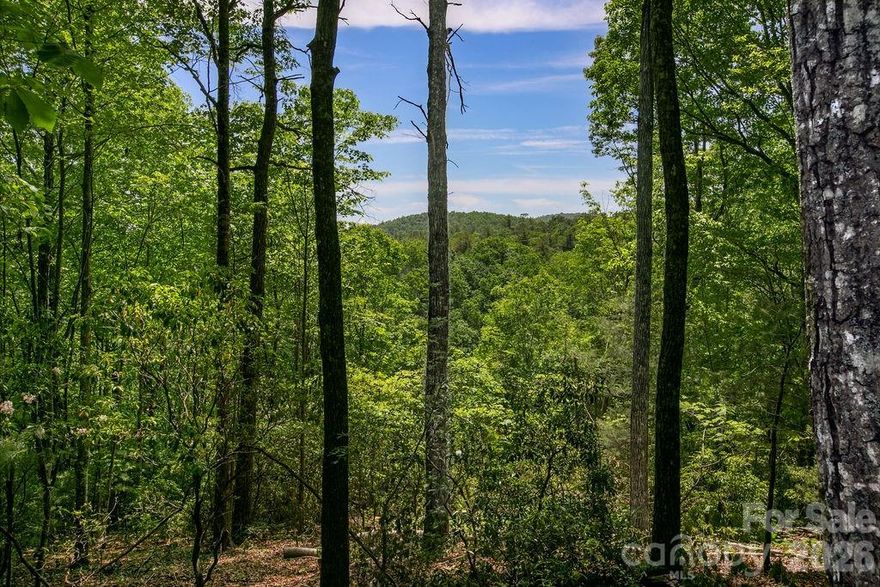 Tucked away in a quiet corner of Transylvania county, this beautiful wooded parcel offers a rare opportunity to own land adjoining Pisgah National Forest on two sides, with direct trail access bordering the property. Surrounded by mature forest and natural beauty, this private mountain retreat features multiple build sites with excellent southern sun exposure and year round Mountain Views.

A roughed-in driveway leads to a partially cleared homesite, giving you a head start on creating your mountain getaway, full-time residence, or recreational basecamp.

Enjoy close proximity to the renowned trout waters of the West Fork and North Fork of the French Broad River, offering exceptional fishing, hiking, and outdoor recreation right at your doorstep.

With peaceful surroundings, established forest, and direct national forest access, this property combines privacy, usability, and adventure in one remarkable setting.