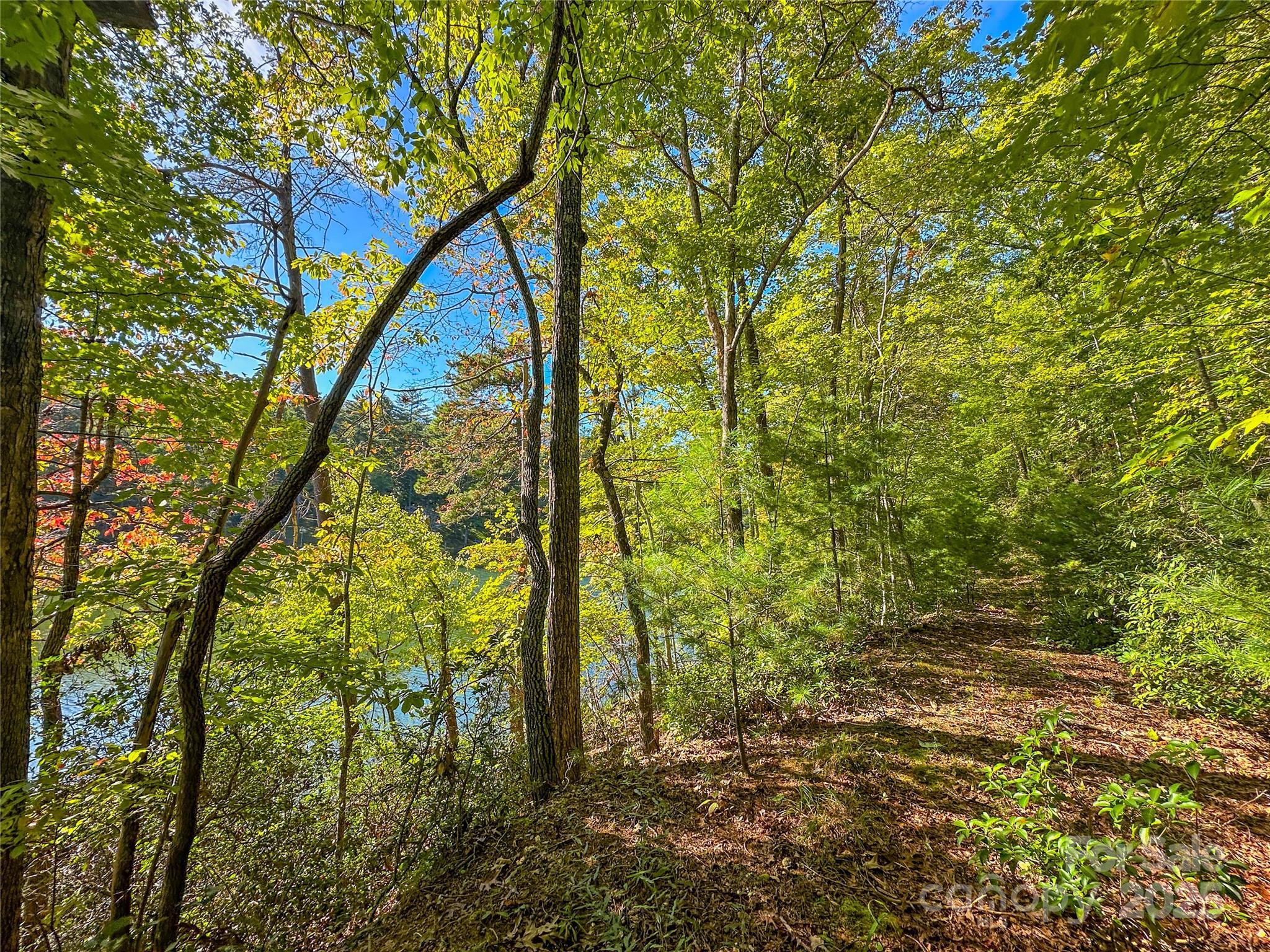 Lake Adger - Land