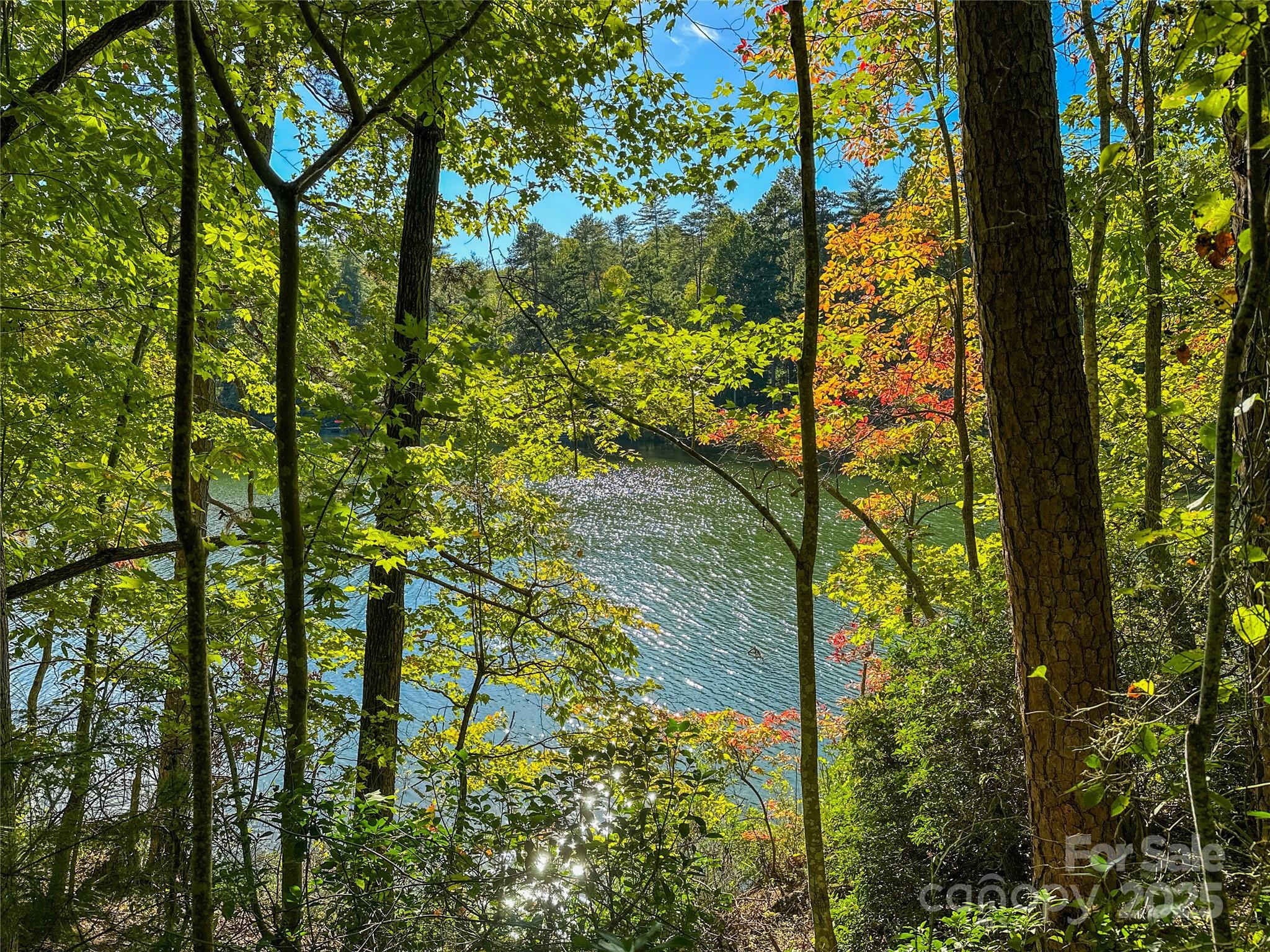 Lake Adger - Land