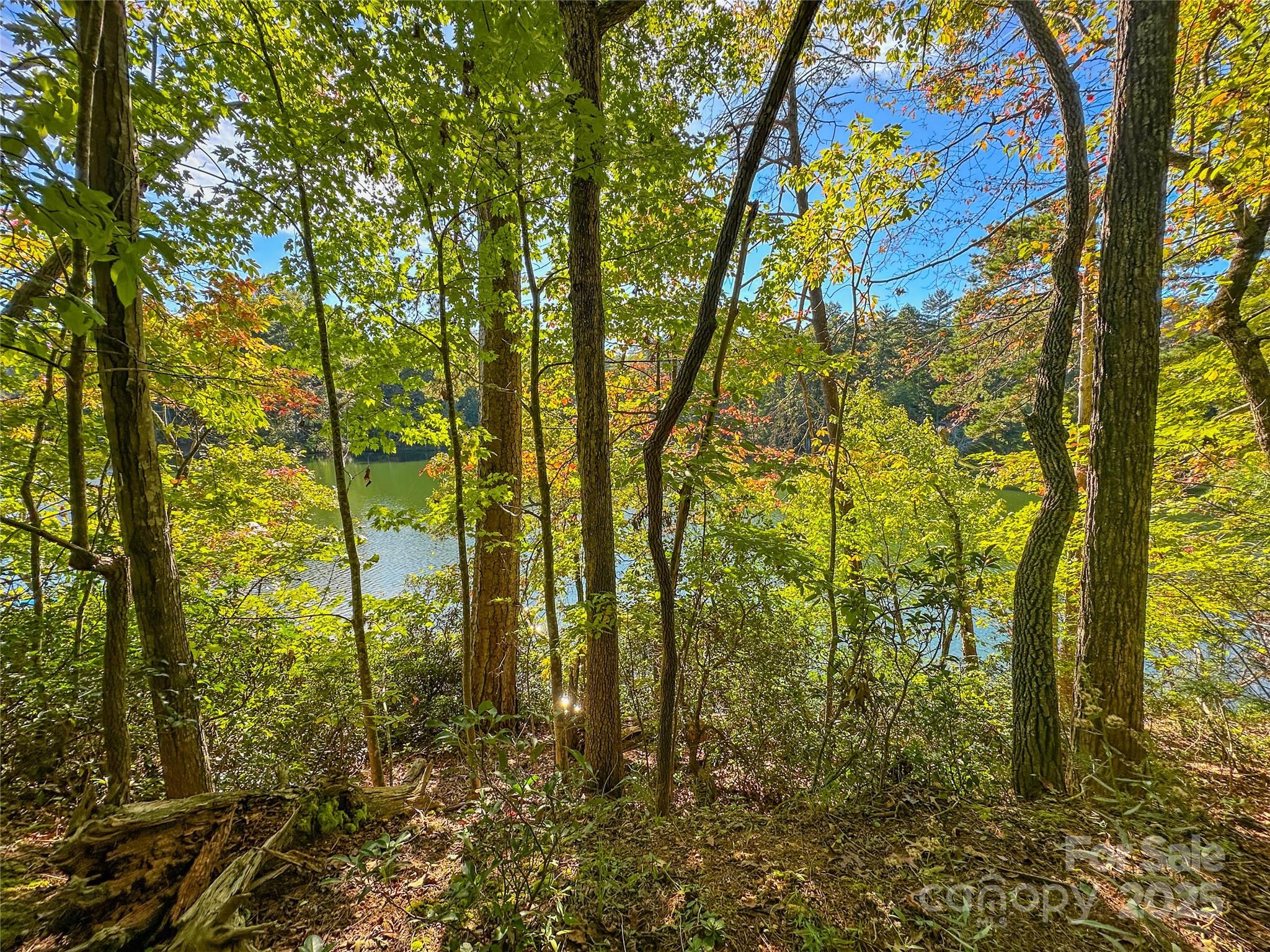 Lake Adger - Land