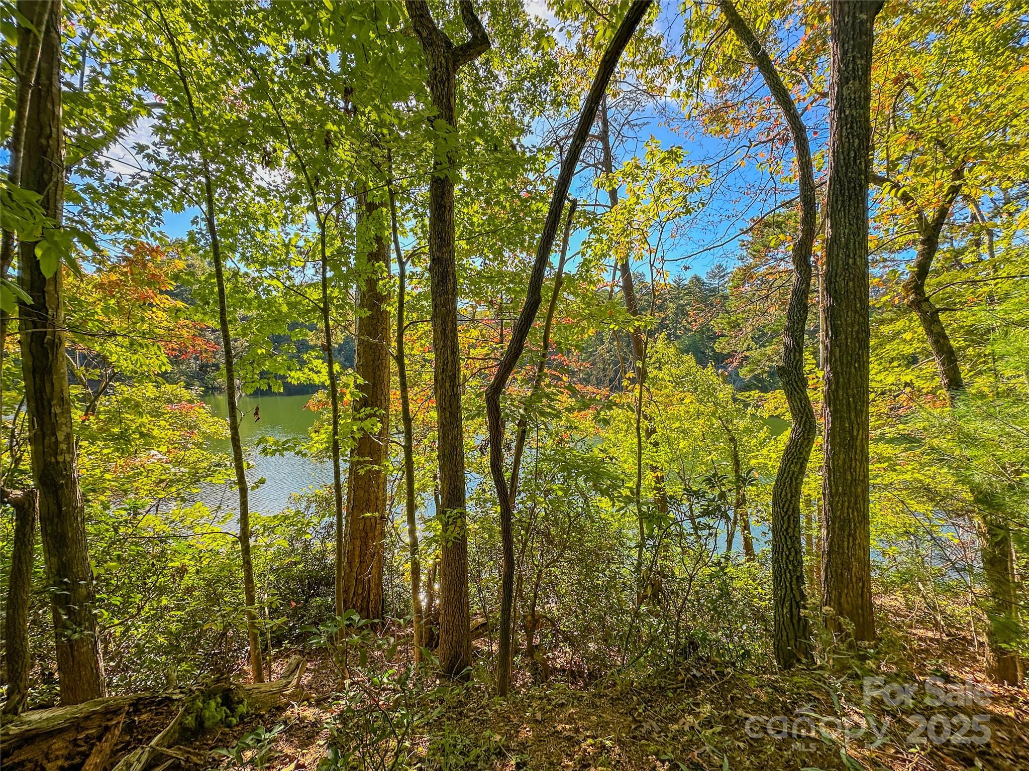 Lake Adger - Land