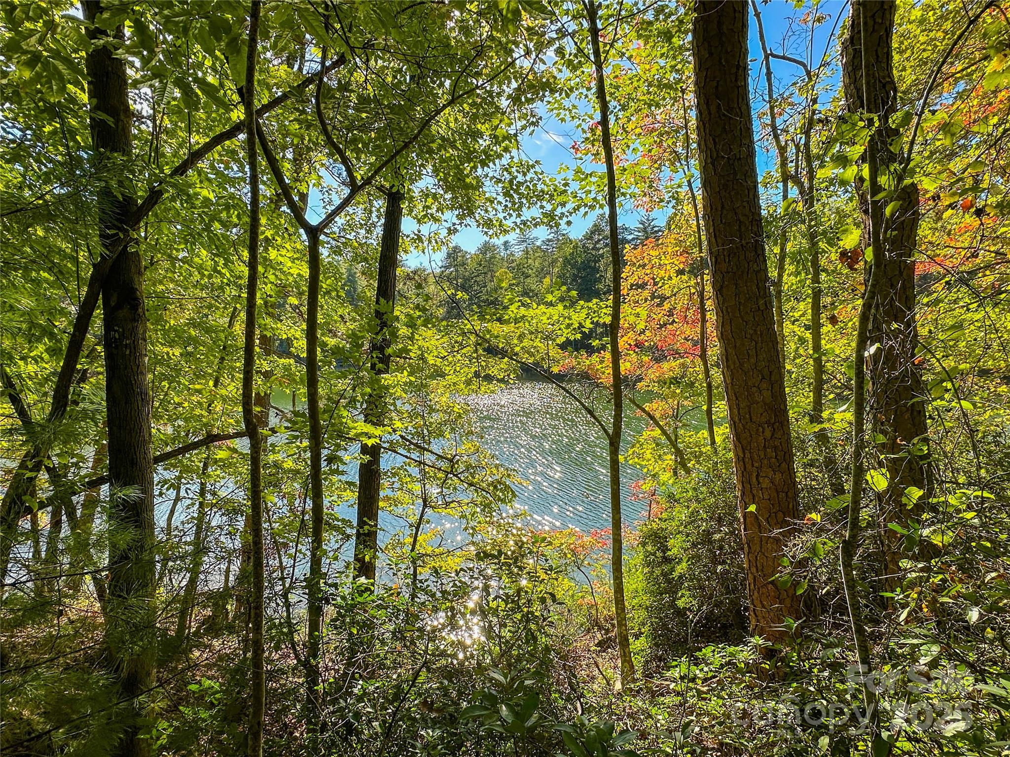 Lake Adger - Land