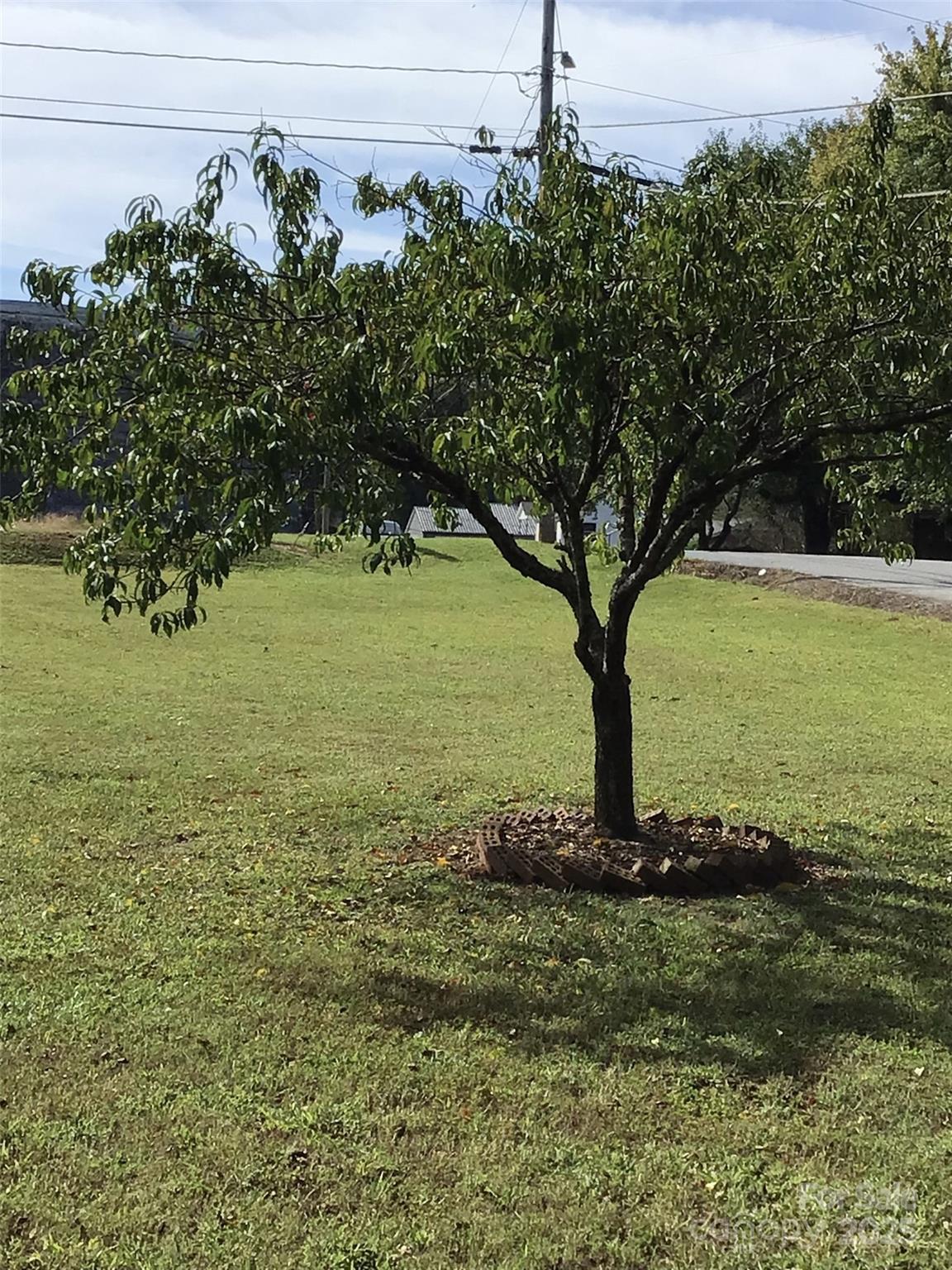 Newton, North Carolina 28658, United States, 3 Bedrooms Bedrooms, ,2 BathroomsBathrooms,Residential,Active,223107