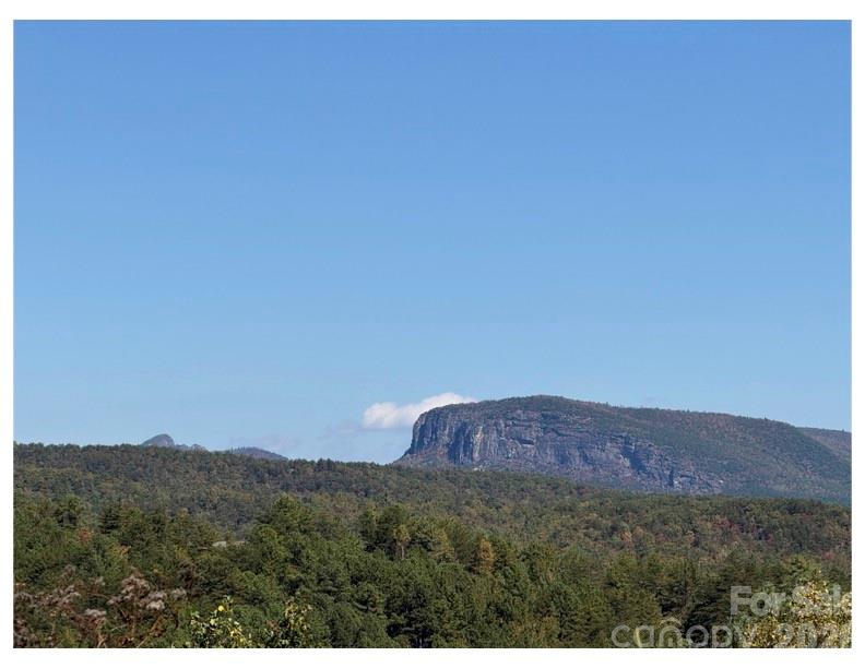 Lot #4 Pisgah Preserve Drive