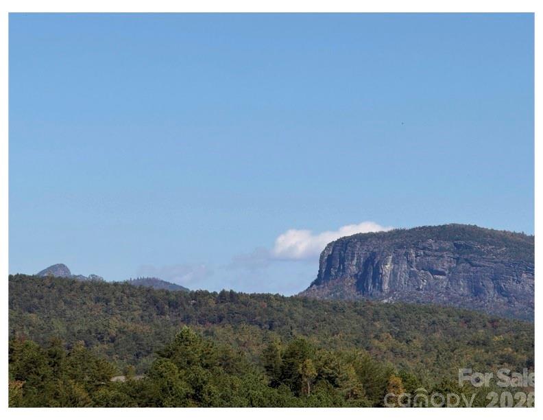 Lot #4 Pisgah Preserve Drive