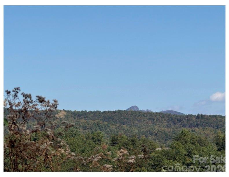 Lot #4 Pisgah Preserve Drive