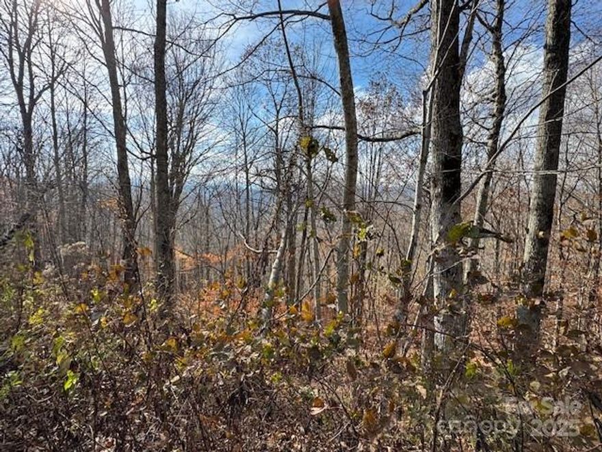 High elevation and potential long-range views with some tree cutting. This lot is on a paved road which provides low maintenance. Power and cable are already at the street ready for connection per seller. Ski slope community-Hatley Pointe Resort. Great time to purchase a lot at this value. Hatley Pointe continues to upgrade the area and will be adding more amenities. Wolf Laurel Country Club next door that offers golf and social memberships with dining and fitness center. Hatley Ponte offers an upscale restaurant and bar with planned events and music. DON'T MISS THIS GROUND LEVEL OPPROTUNITY IN A MOUNTAIN COMMUNITY 40 MINUTES NORTH OF ASHEVILLE!