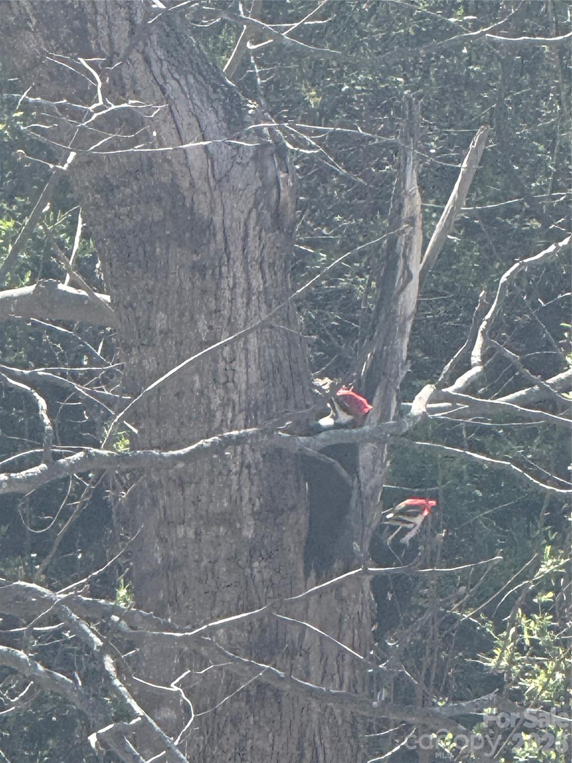 Fox Lair Crossings - Residential