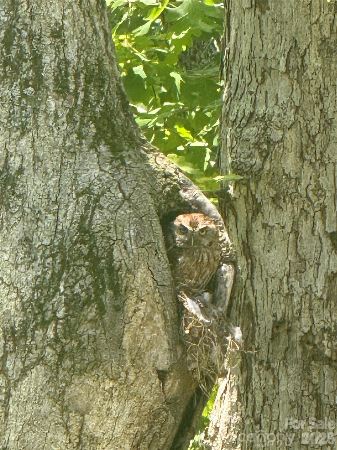 Fox Lair Crossings - Residential
