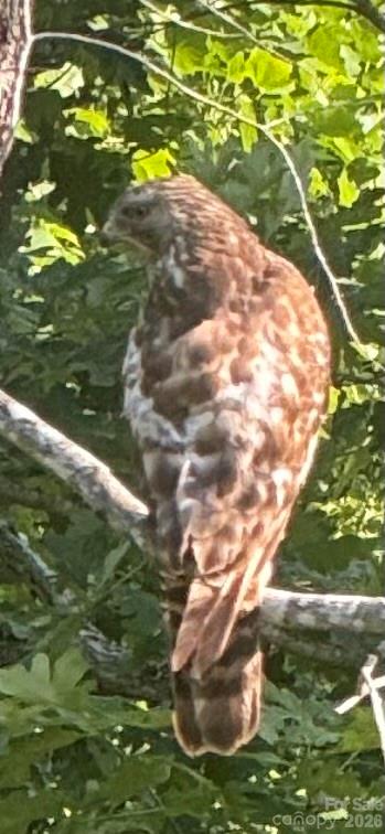 Fox Lair Crossings - Residential