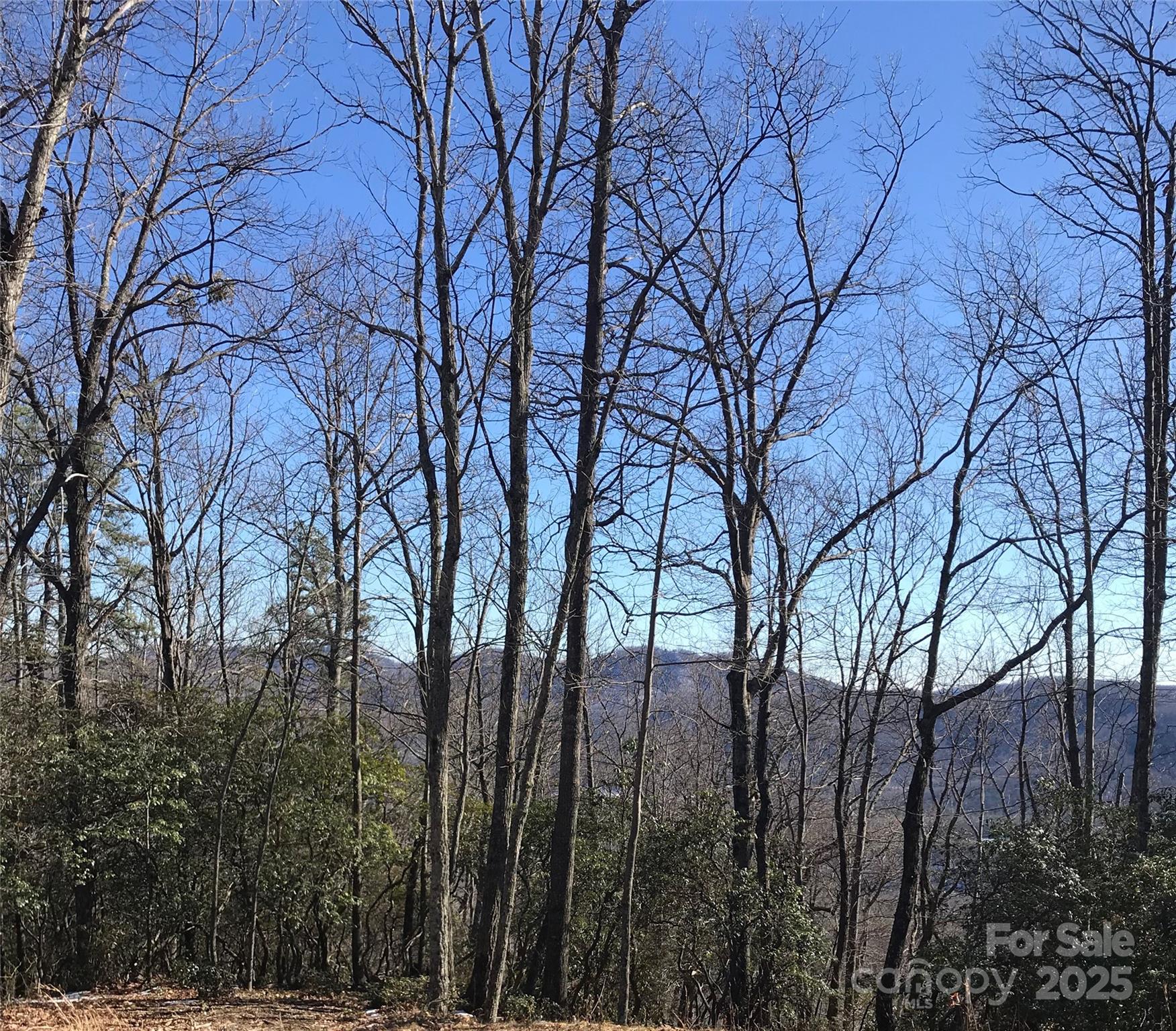 144 Galax Drive T-42