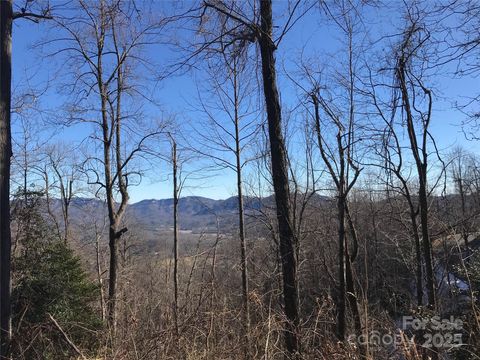 144 Galax Drive T-42 Black Mountain NC 28711