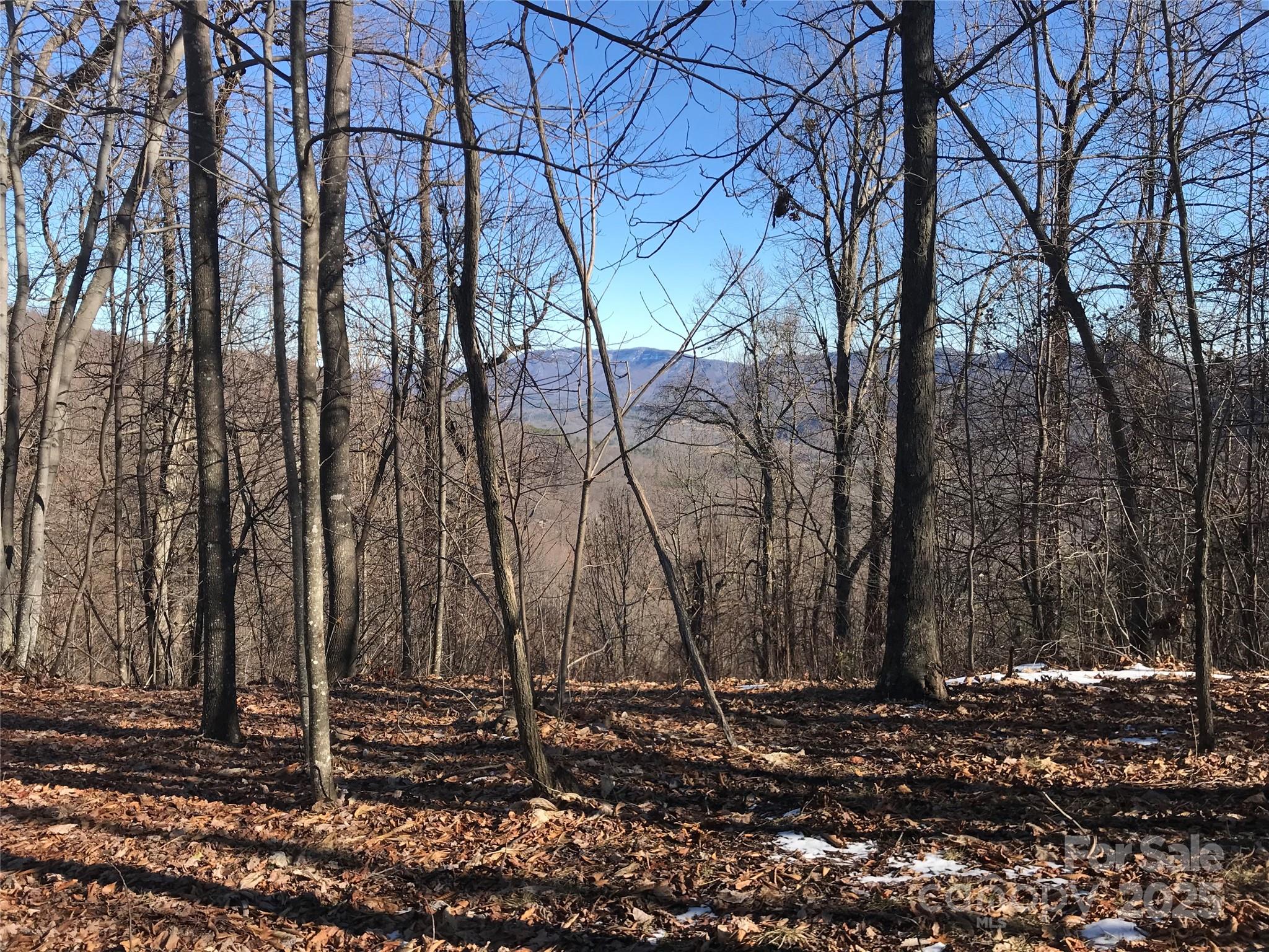 144 Galax Drive T-42