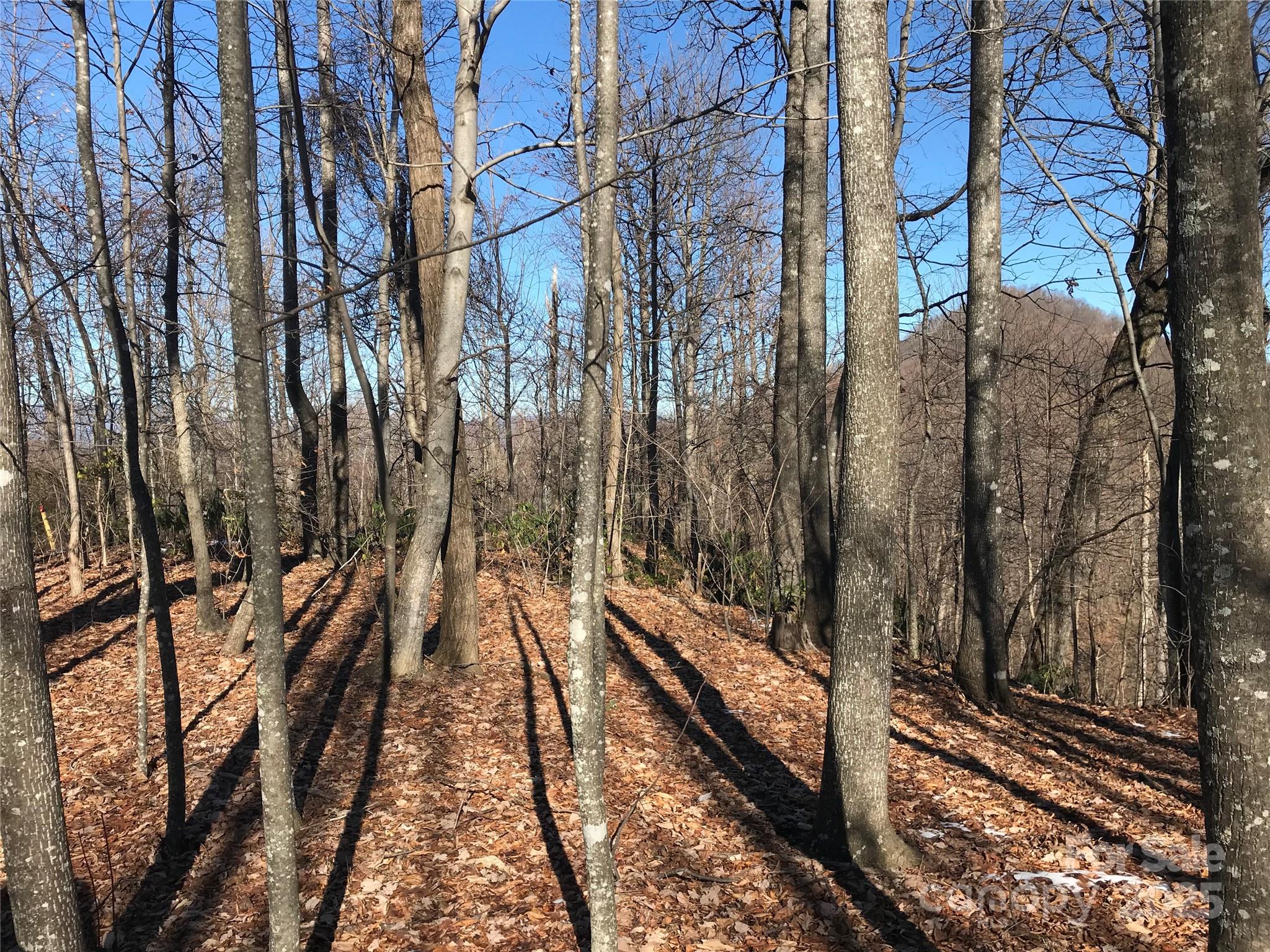 144 Galax Drive T-42