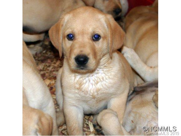 Charmeldee Acres - Residential