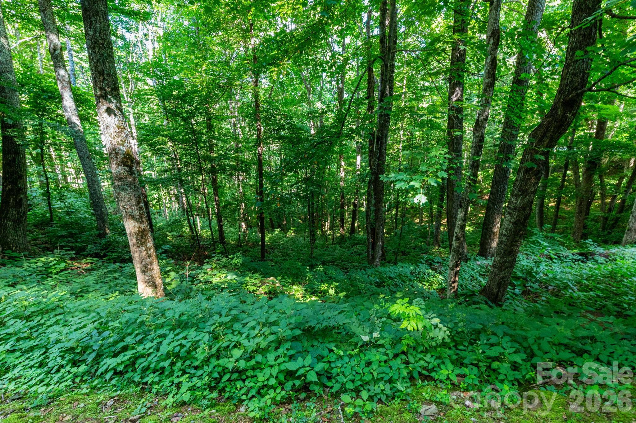 Lot 25 Finlaystone Trace 25