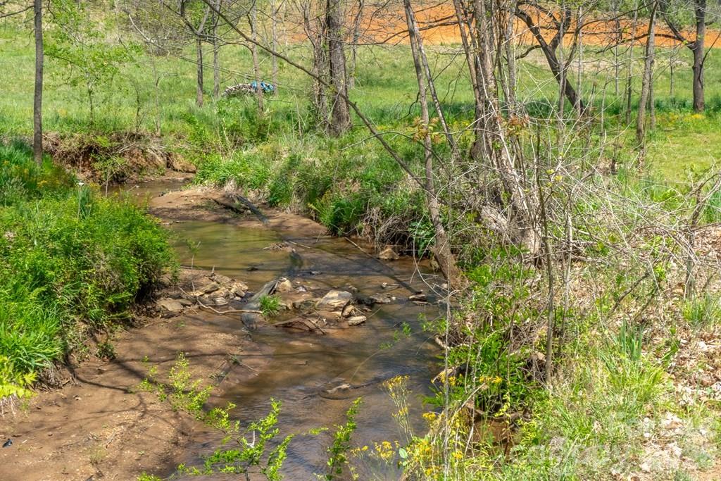 71 Bullfrog Cove Road