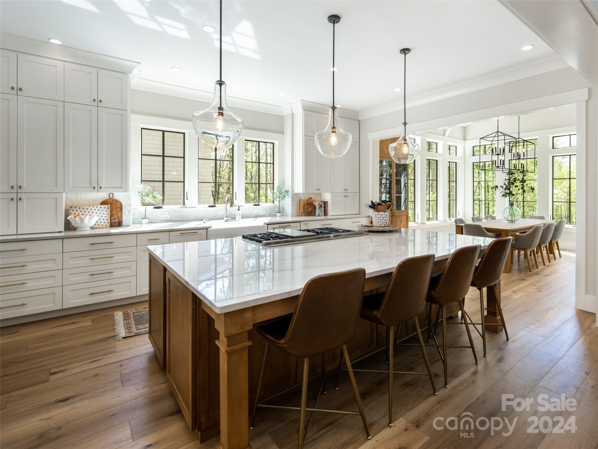 Biltmore Lake - Residential