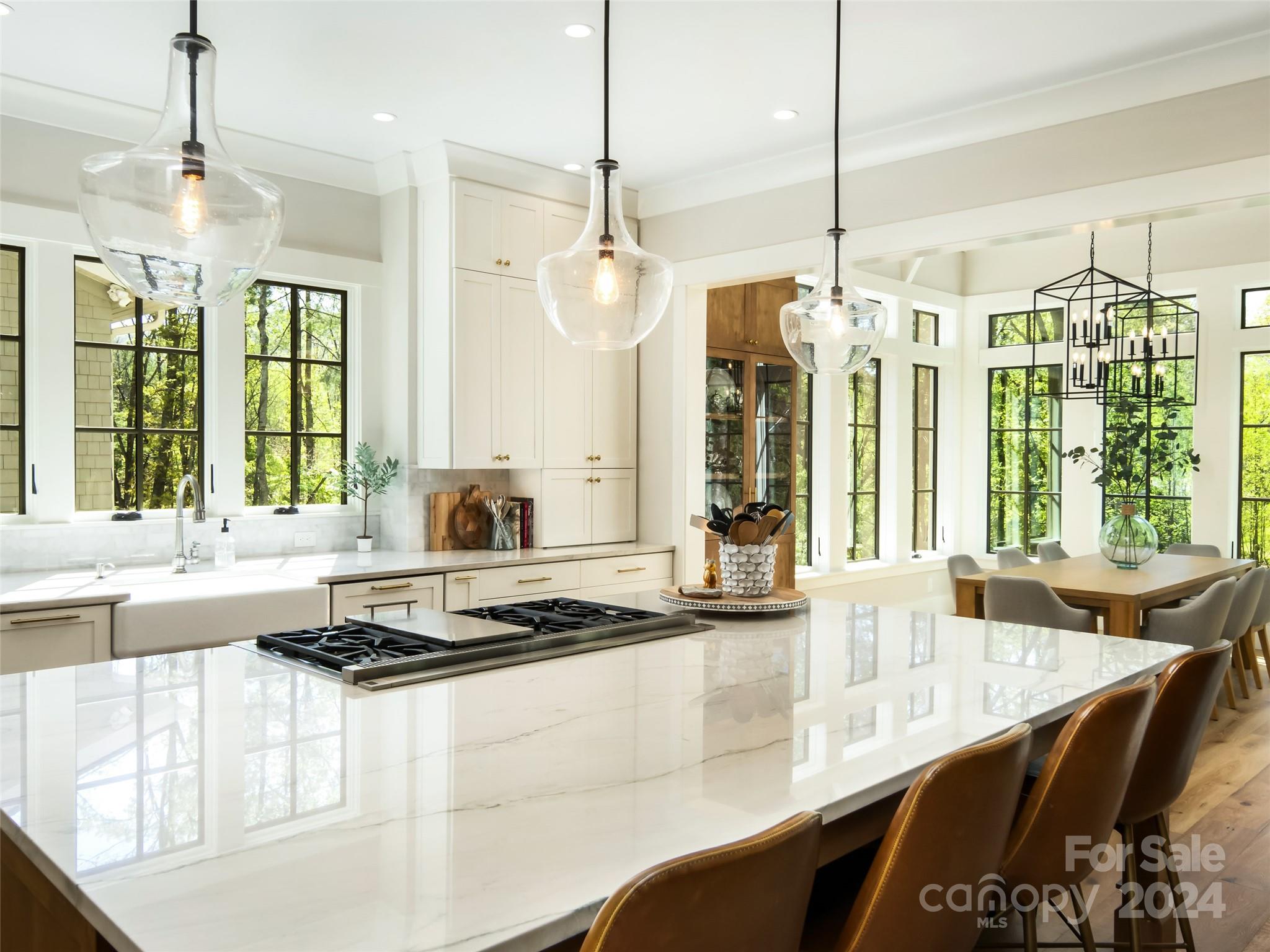 Biltmore Lake - Residential