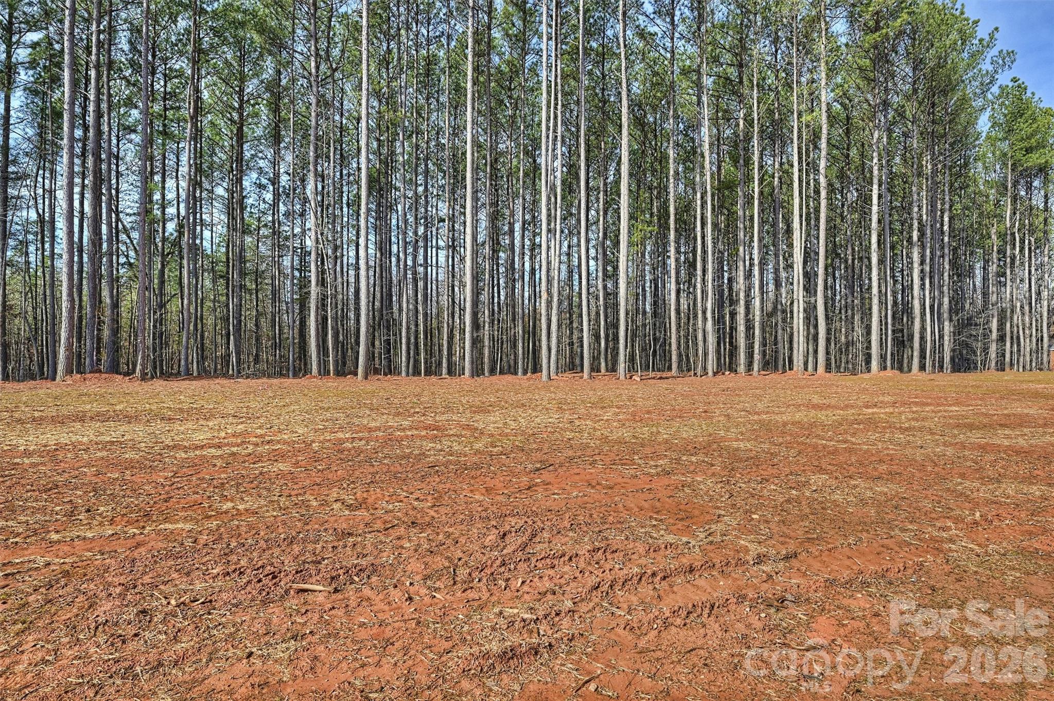 North Pines - Residential