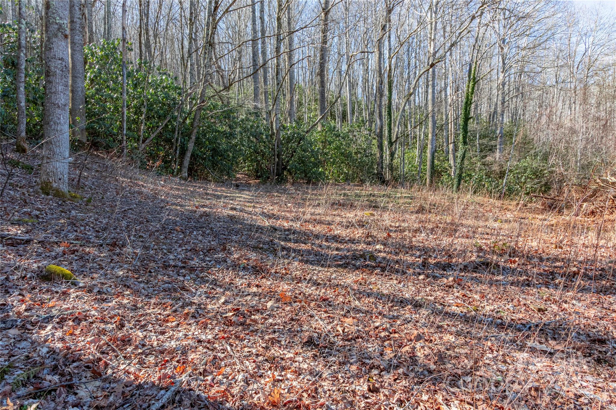 0 Landis Lane
