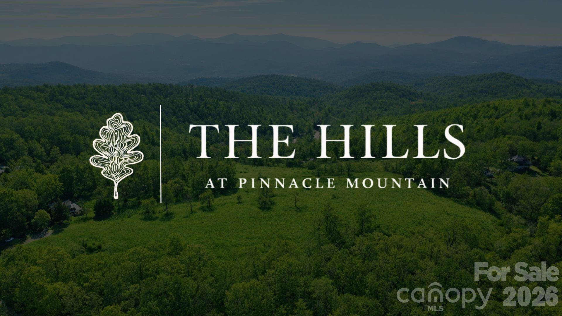 4105 Pinnacle Mountain Road, Zirconia, NC, 28790