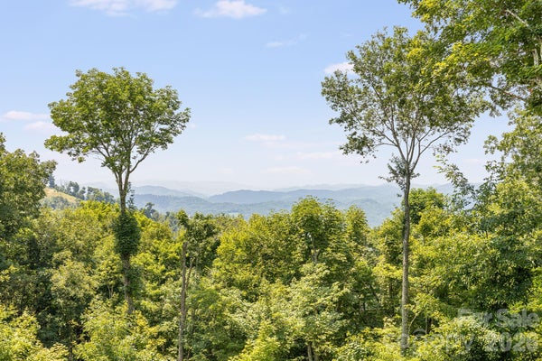 129 FINNEY LN, MARS HILL, NC 28754 - Image 7dcbdc9027f3140bcc70ea09eaf82db9/3528647926