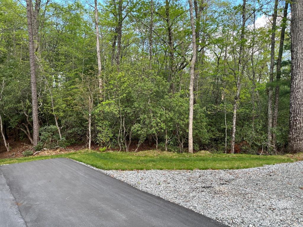 0 Turtle Ridge Trail