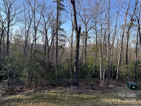 0 Turtle Ridge Trail Mills River NC 28759