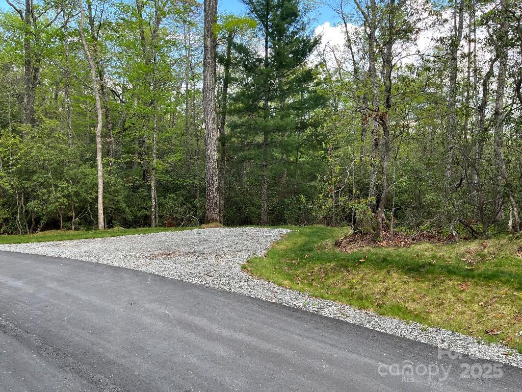 0 Turtle Ridge Trail