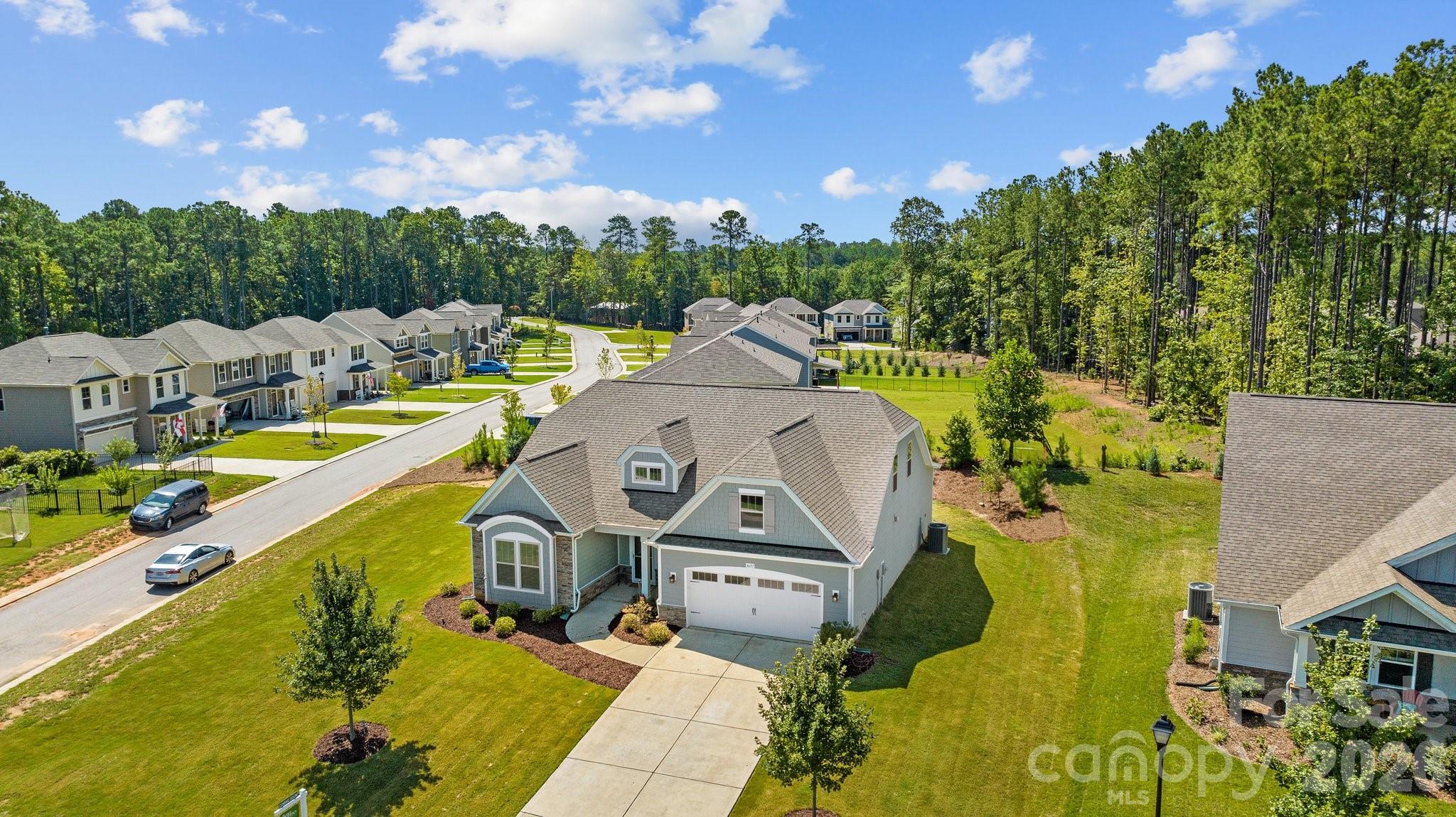 Palm Tree Cove II - Residential