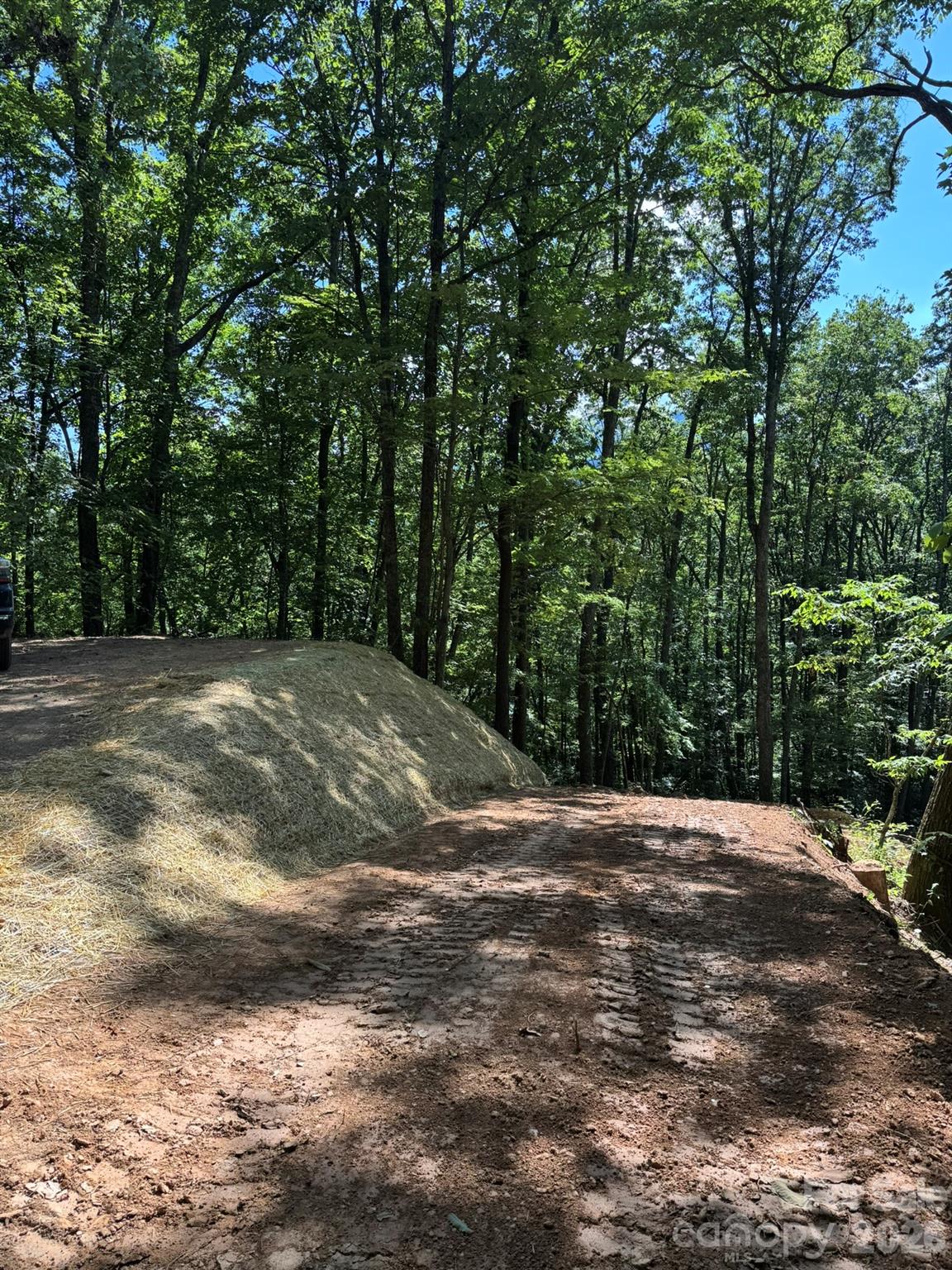 97 Hosta Drive
