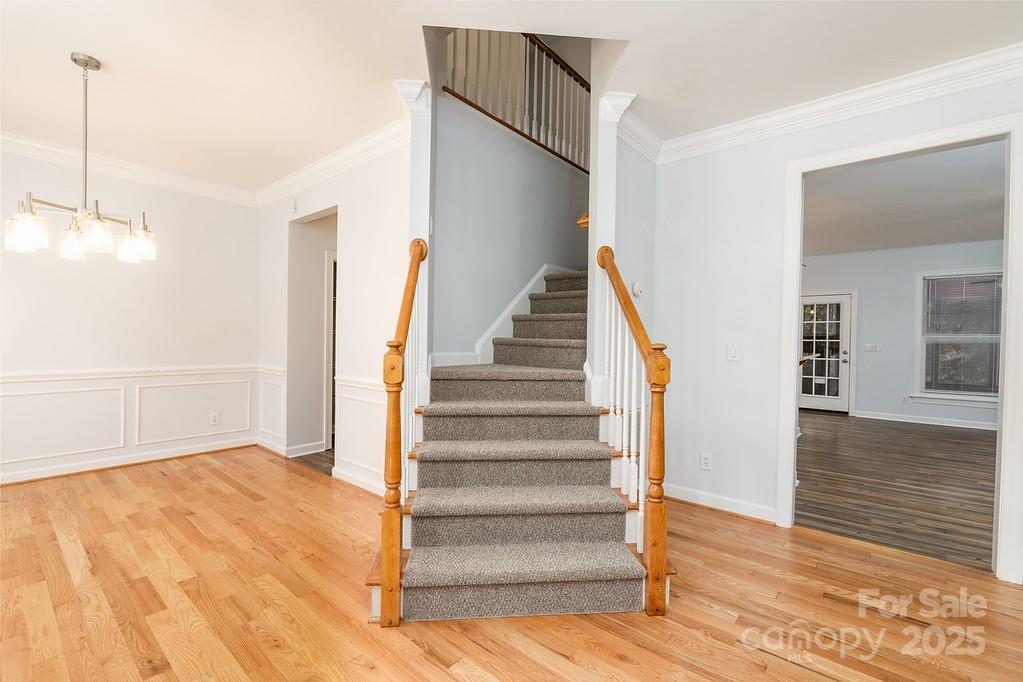 5238 Downing Creek Drive