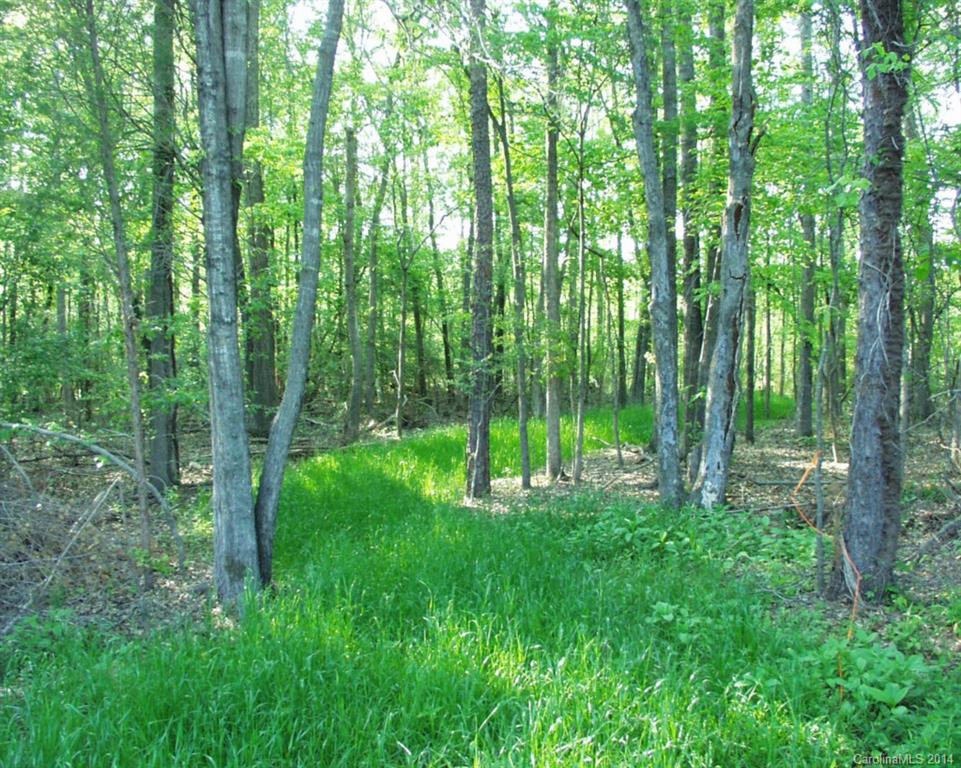 Mooreland Wood - Land