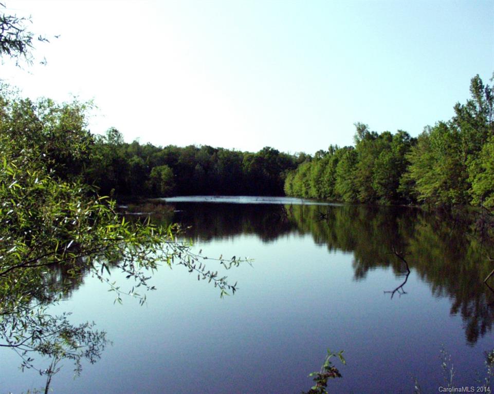 Mooreland Wood - Land