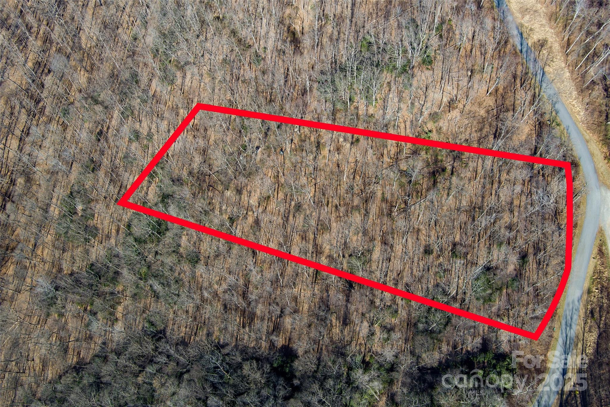 The Summit of Asheville - Land