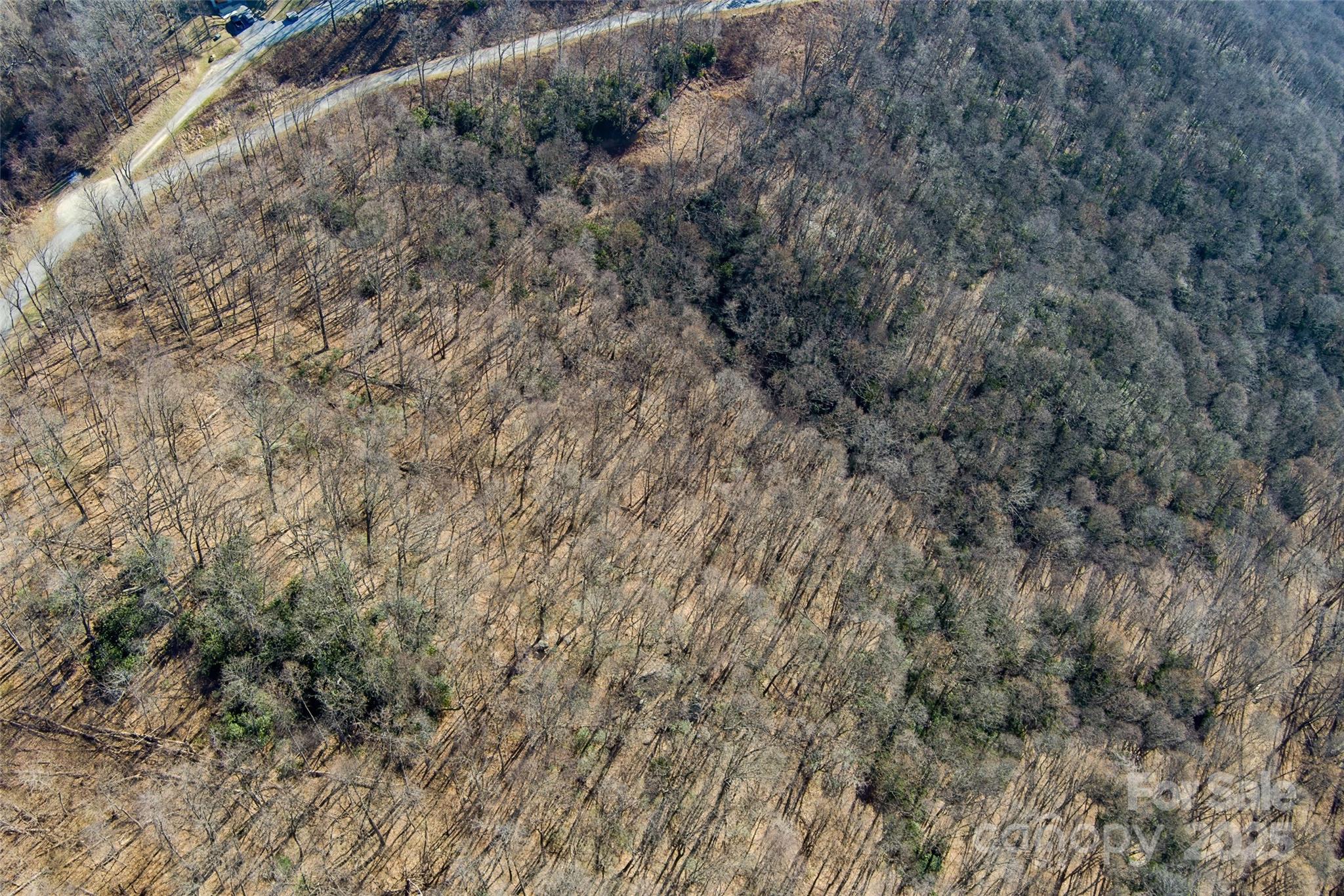 The Summit of Asheville - Land