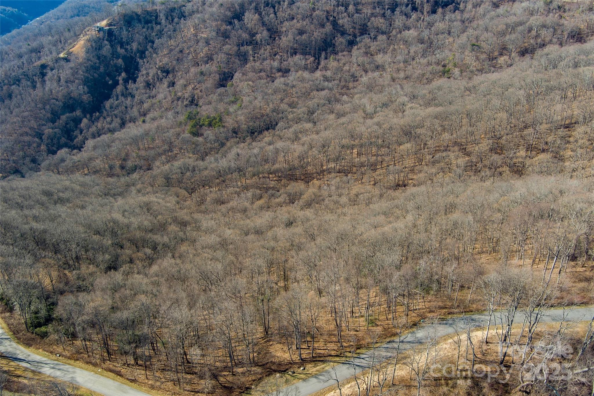 The Summit of Asheville - Land