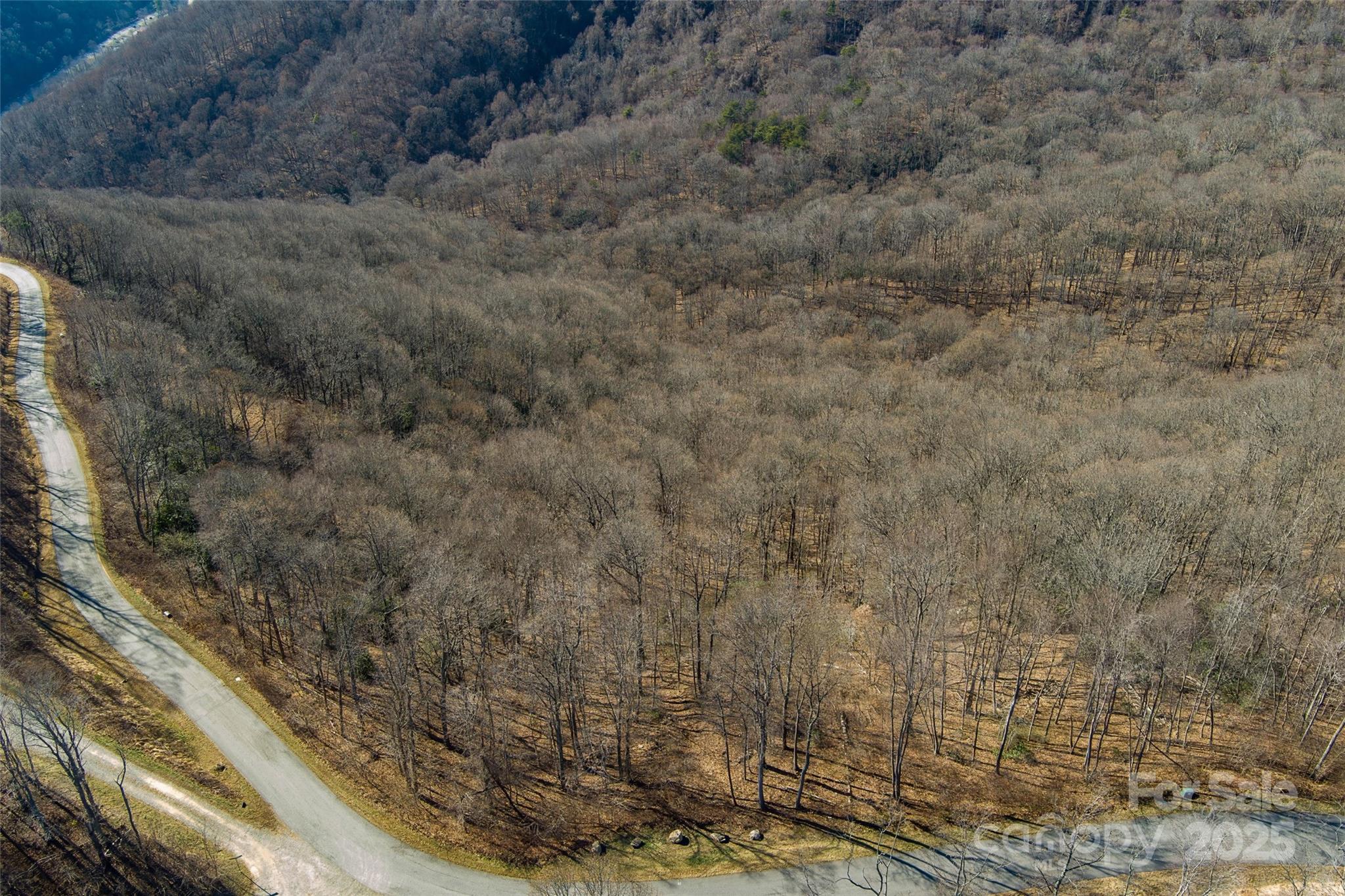 The Summit of Asheville - Land