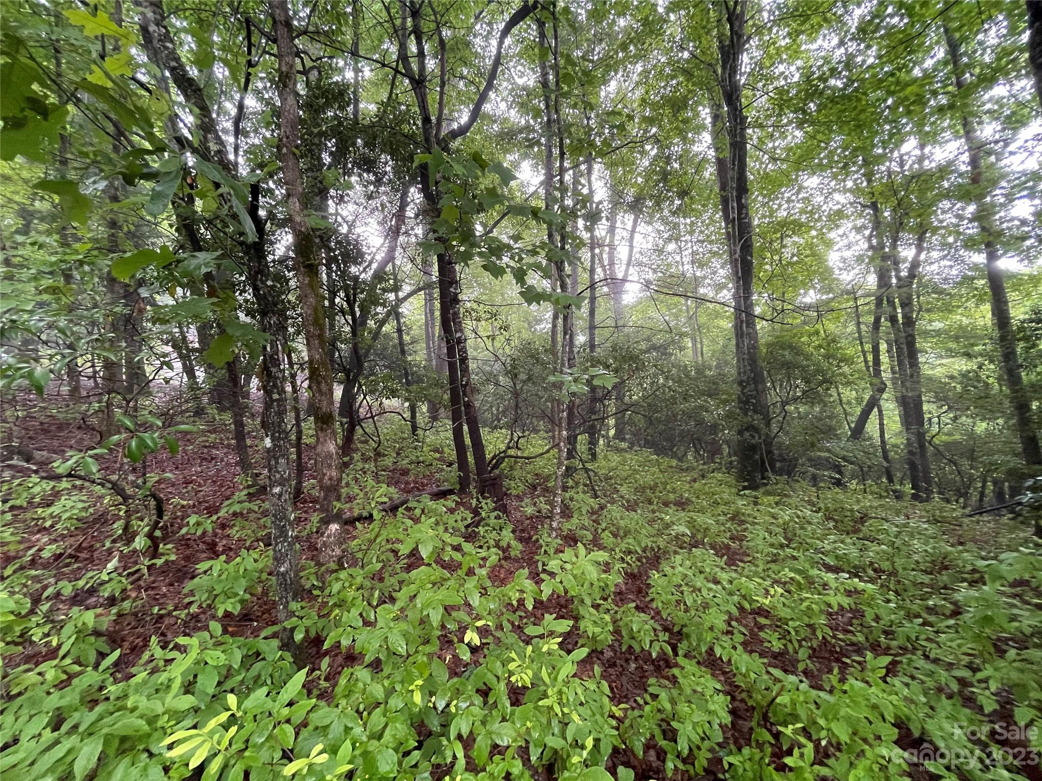 Connestee Falls - Land