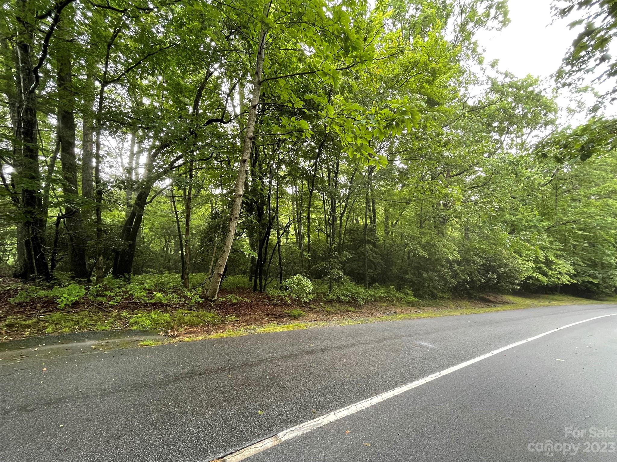 Connestee Falls - Land