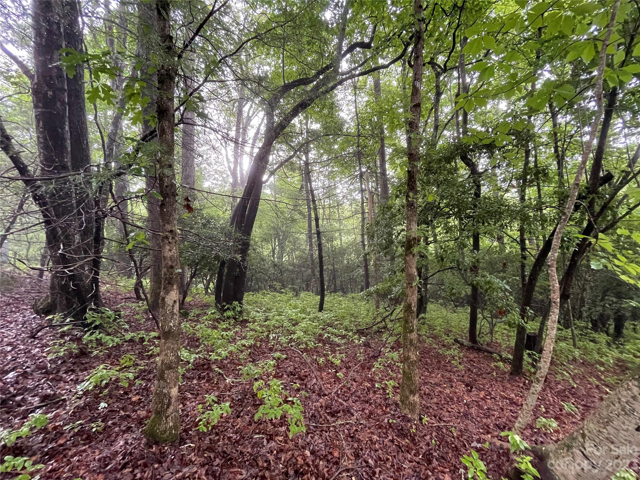 Connestee Falls - Land